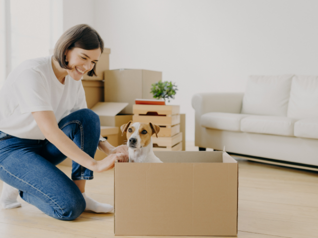 Bieden op een huis zonder voorbehoud van financiering