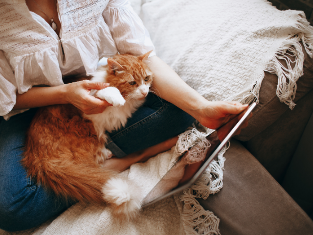 Documenten hypotheekaanvraag