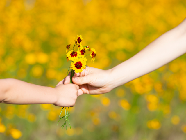 Belastingvrije schenking 2025