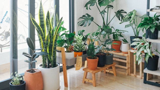 overbruggingshypotheek afsluiten